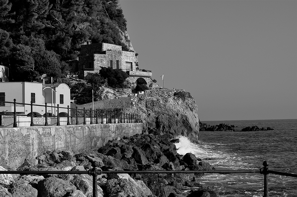 2.summer-daze-mike-mellia